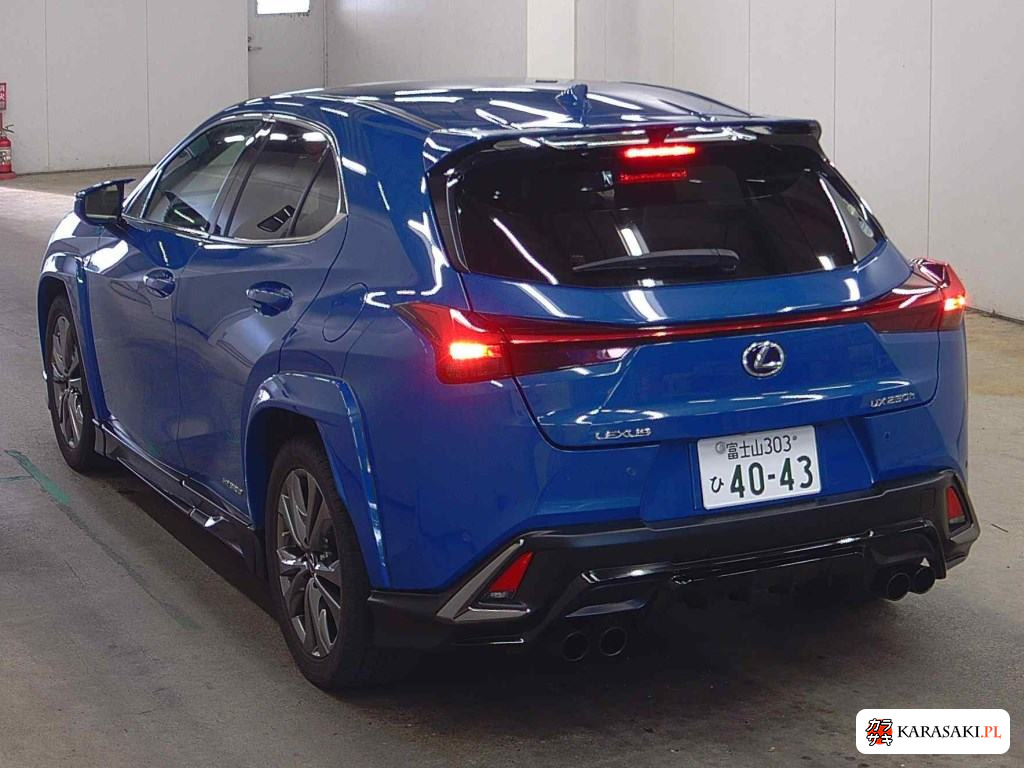 2019 Lexus Ux 4WD UX250H F Sport 2