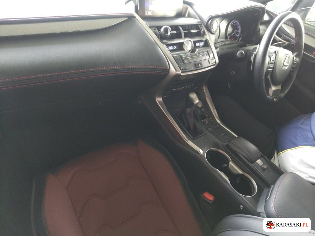 2014 Lexus NX NX300H F Sport 5