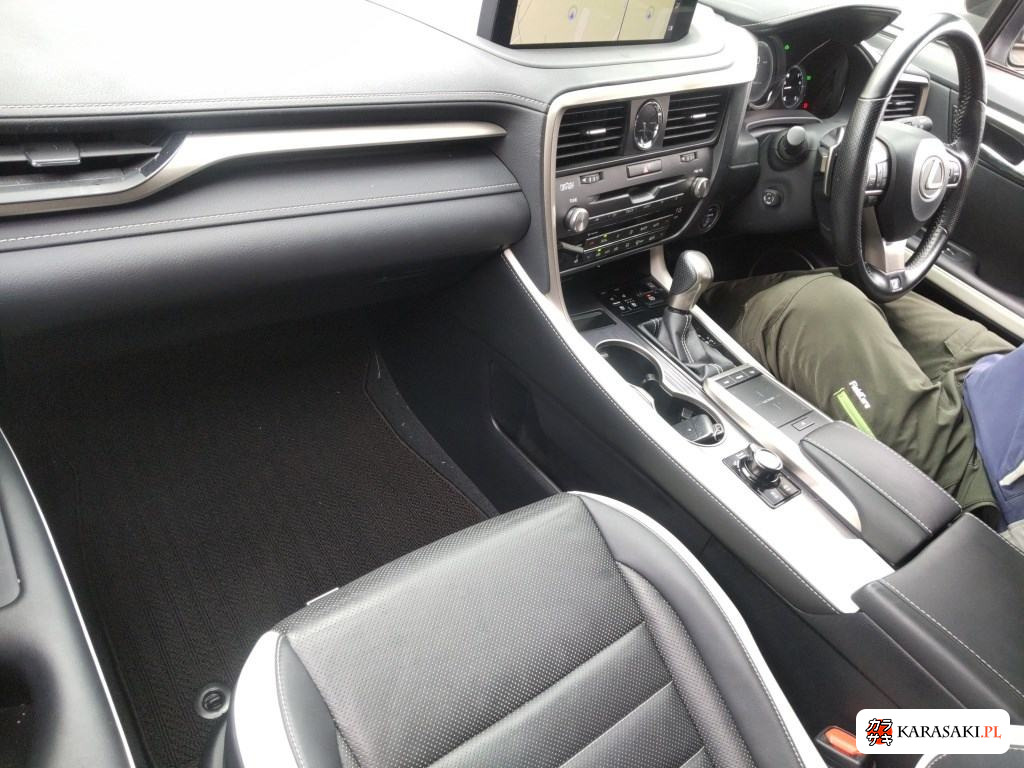 2020 Lexus RX 4WD RX450H F Sport 5