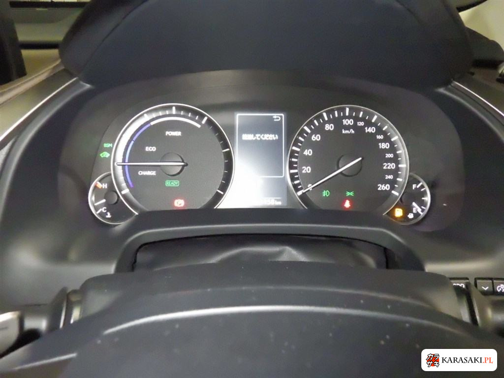 2020 Lexus RX 4WD RX450HL 6