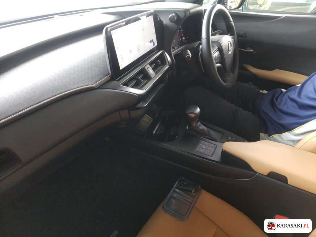 2023 Lexus Ux UX250H Version C 5