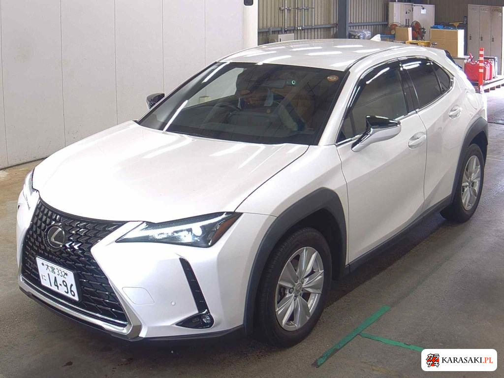 2023 Lexus Ux UX250H Version C 3