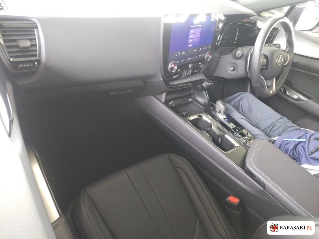 2024 Lexus NX NX350H F Sport 5