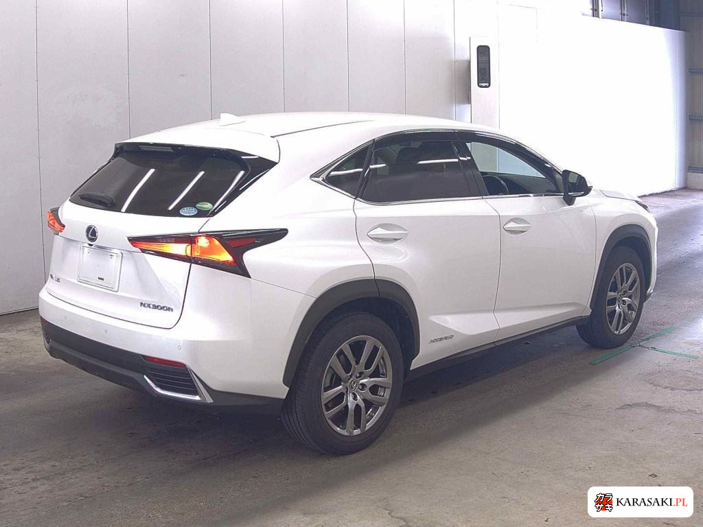 2019 Lexus NX NX300H Version L 4