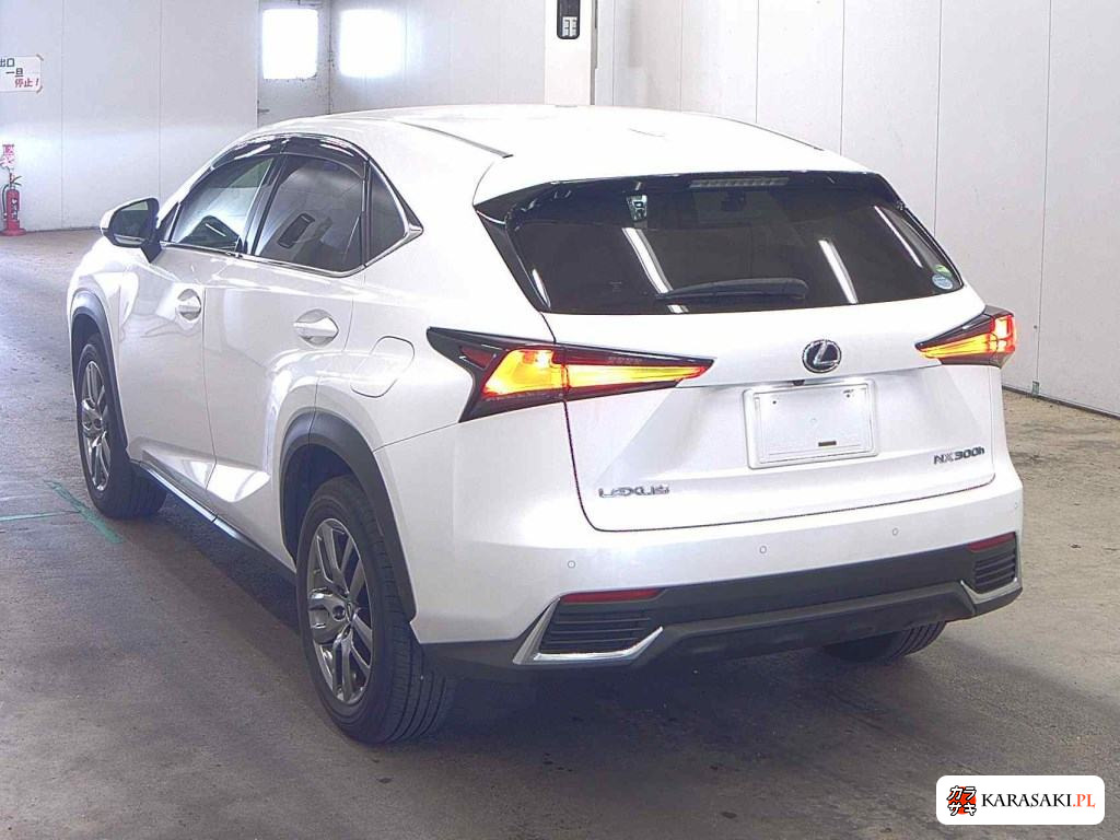 2019 Lexus NX NX300H Version L 2