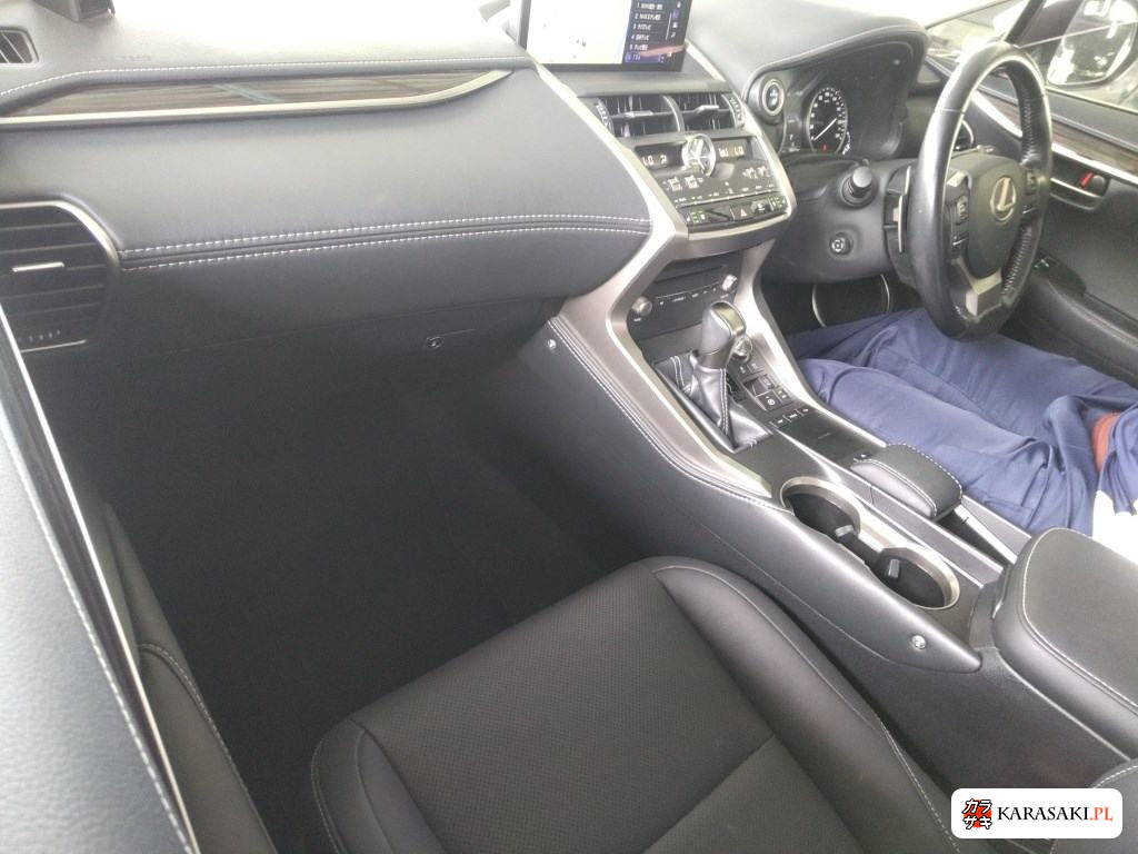 2019 Lexus NX NX300H Version L 5