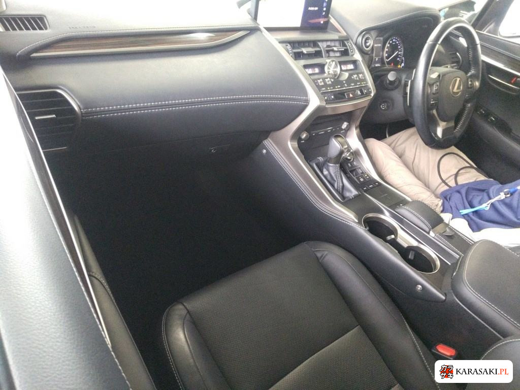 2017 Lexus NX NX300H F Sport 5