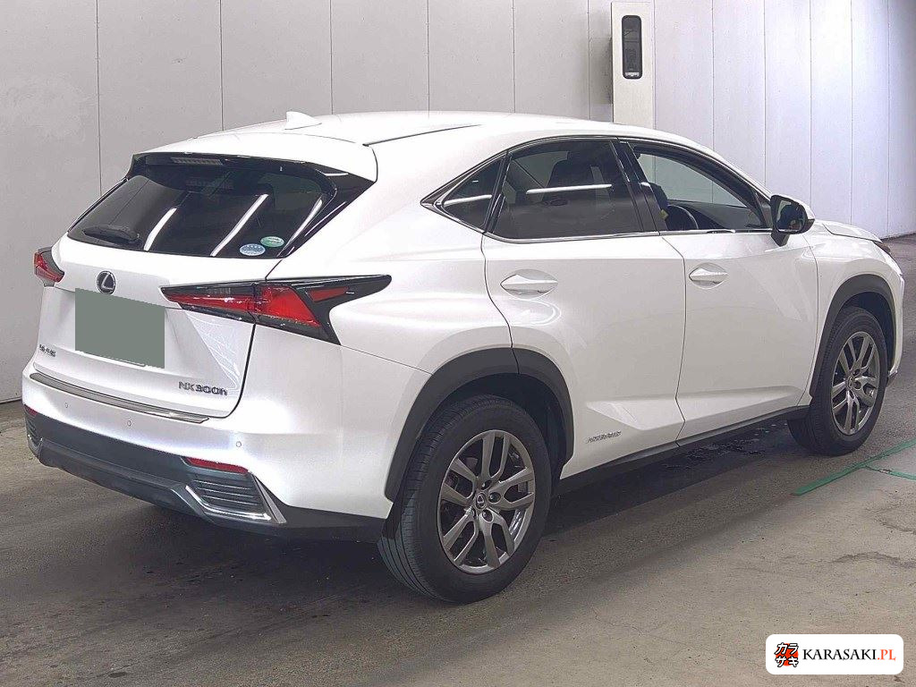 2017 Lexus NX NX300H F Sport 4