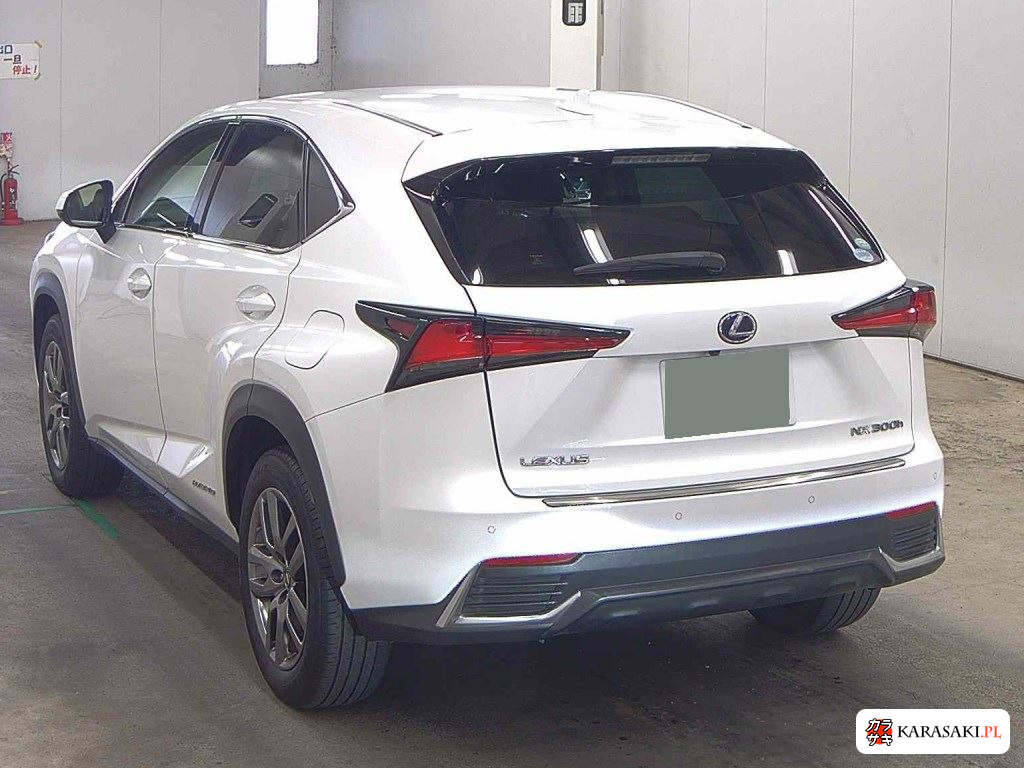 2017 Lexus NX NX300H F Sport 2