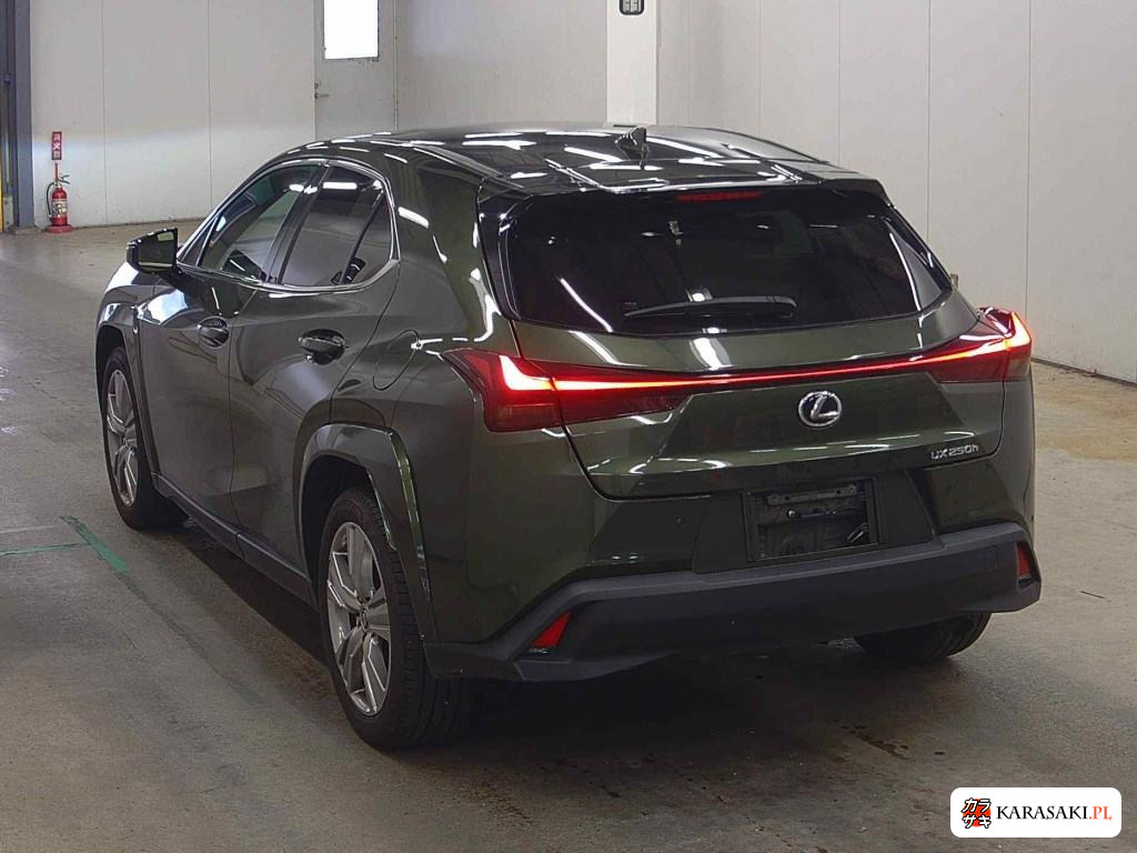 2023 Lexus Ux UX250H Graceful Explorer 2