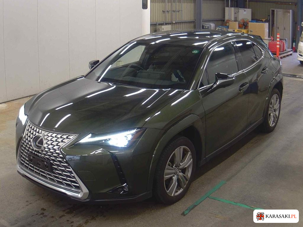 2023 Lexus Ux UX250H Graceful Explorer 3