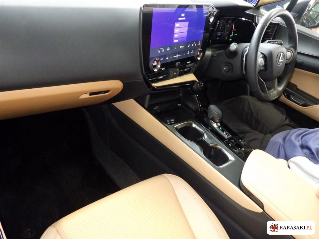 2023 Lexus NX NX350H F Sport 5