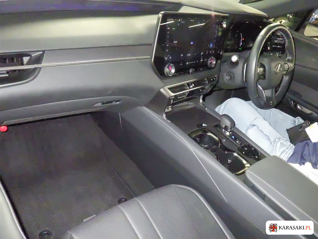 2023 Lexus RX 4WD RX500H F Sport Performance 5