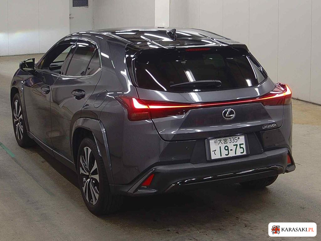 2022 Lexus Ux UX250H F Sport Emotional Explorer 2