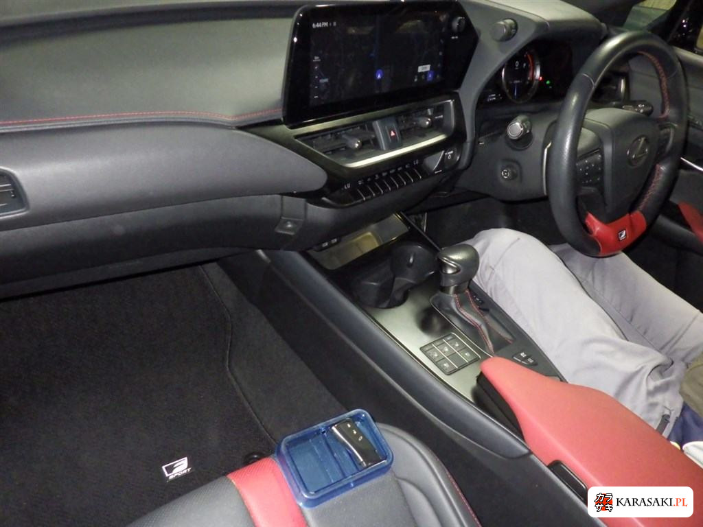 2022 Lexus Ux UX250H F Sport Emotional Explorer 5