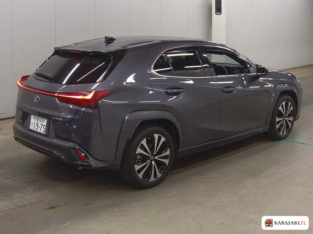 2022 Lexus Ux UX250H F Sport Emotional Explorer 4