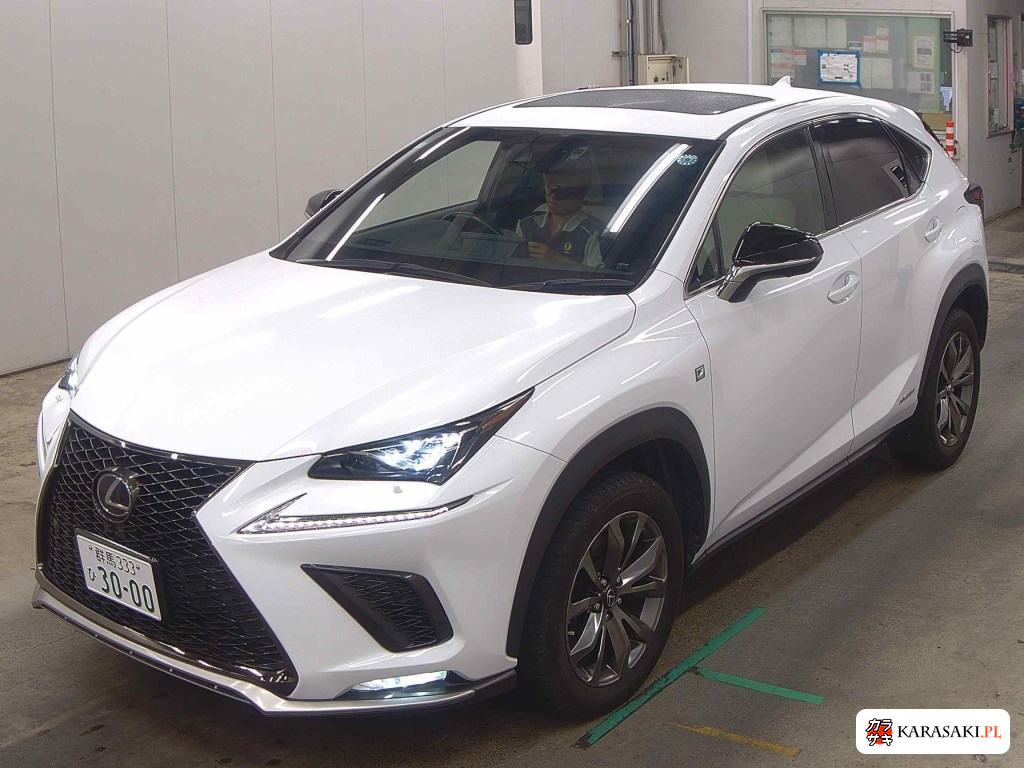 2018 Lexus NX NX300H F Sport 3