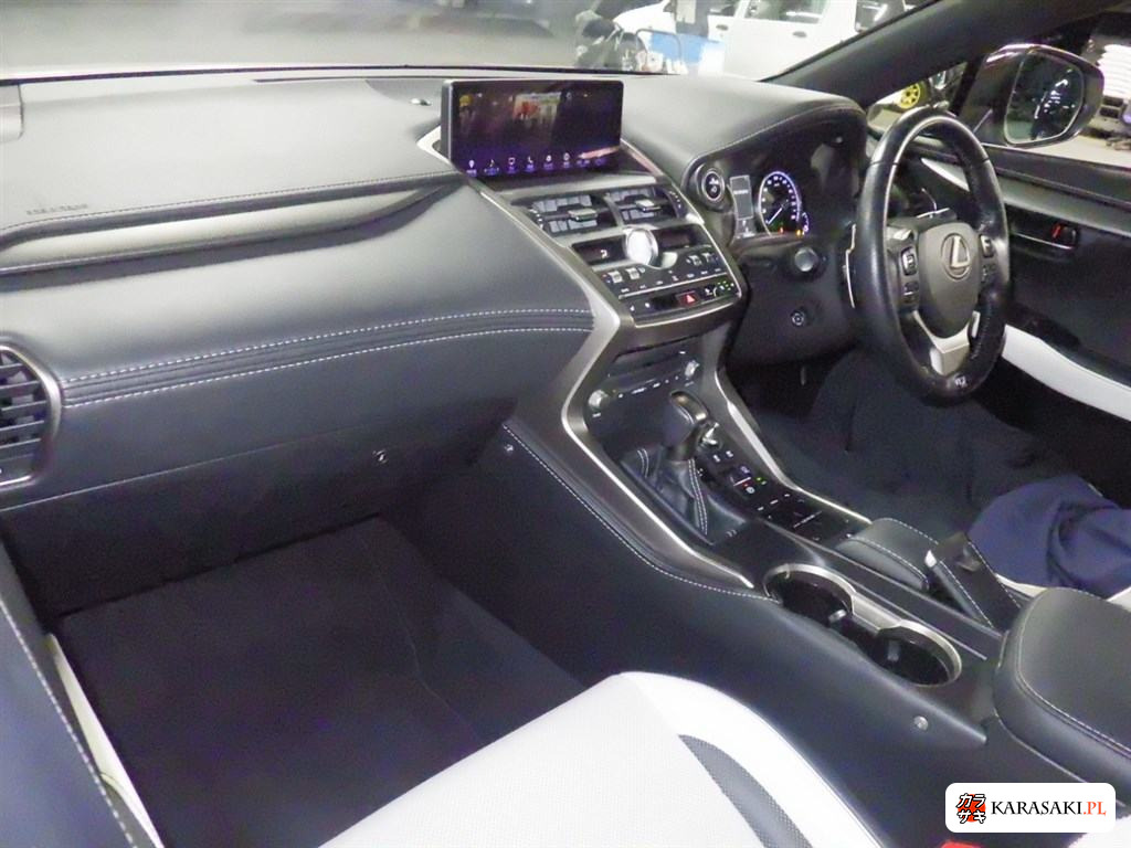 2018 Lexus NX NX300H F Sport 5
