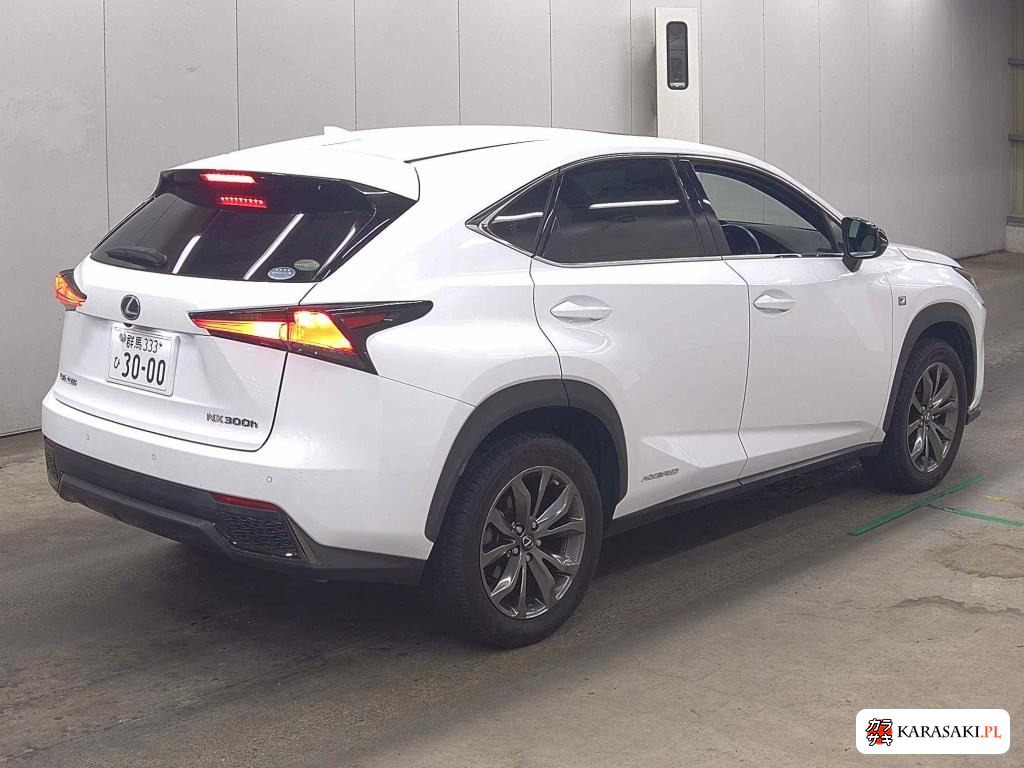 2018 Lexus NX NX300H F Sport 4