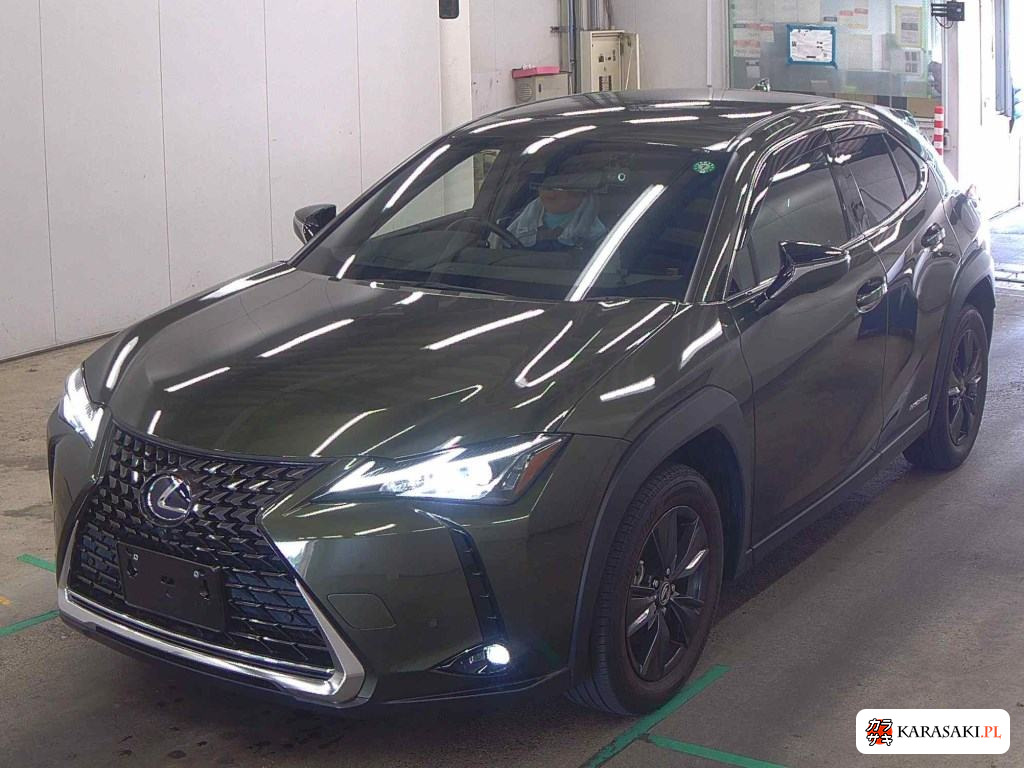 2021 Lexus Ux UX250H Version C 3