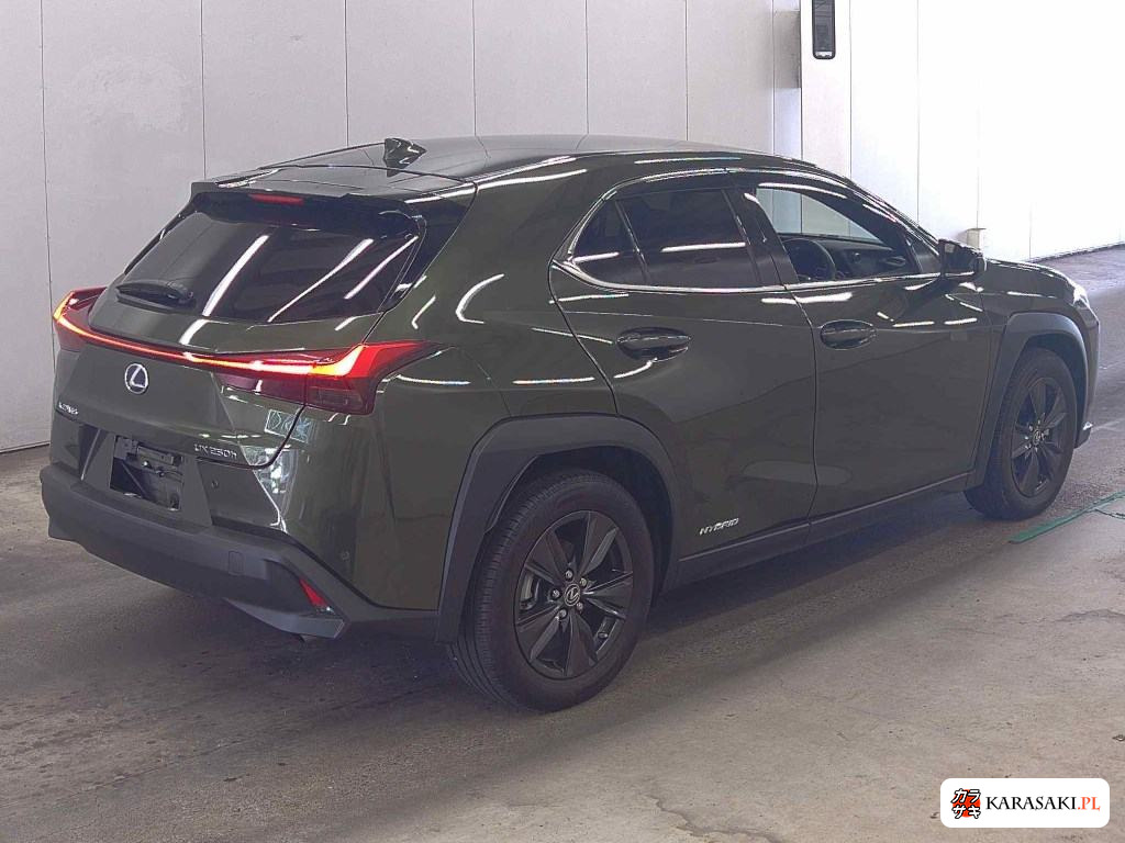 2021 Lexus Ux UX250H Version C 4