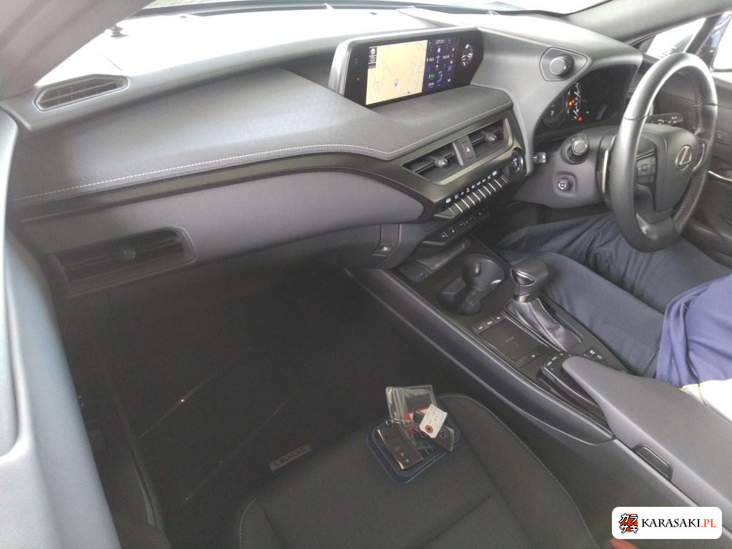 2021 Lexus Ux UX250H Version C 5