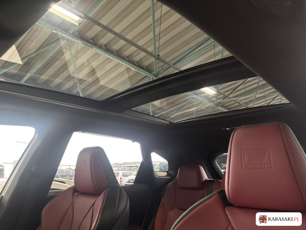 2025 Lexus RX 4WD RX500H F Sport Performance 9
