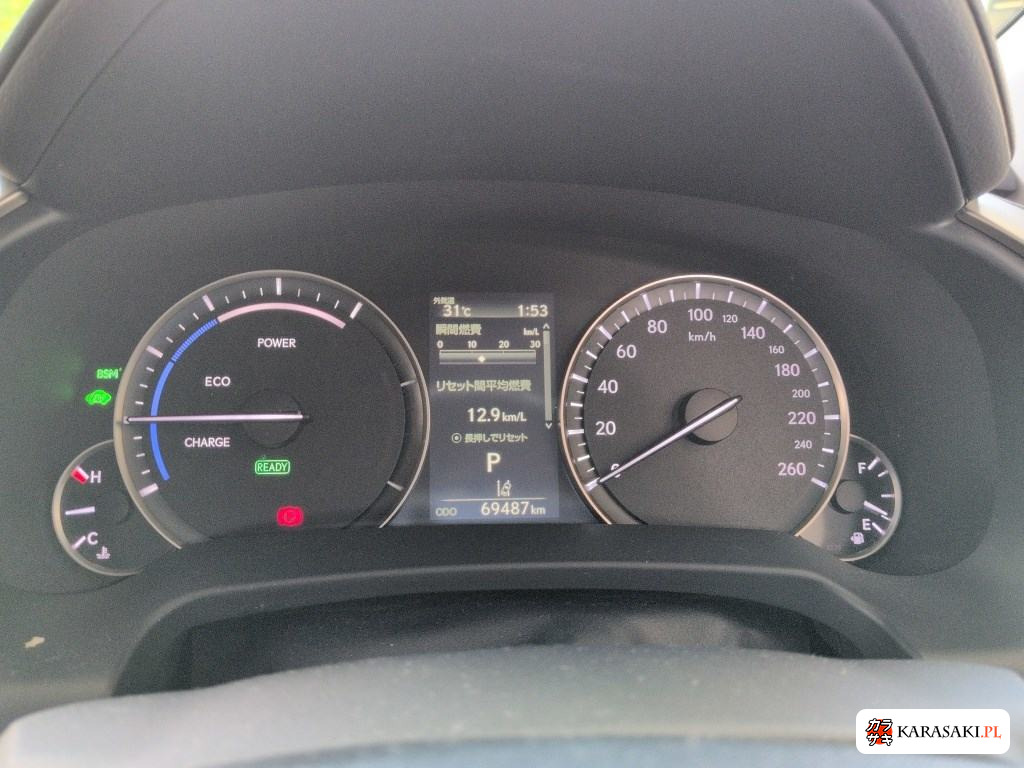 2021 Lexus RX 4WD RX450H Version L 6