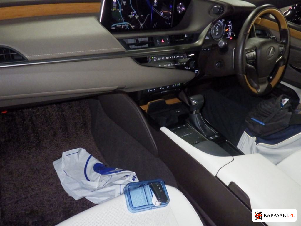 2020 Lexus Es ES300H Version L 5