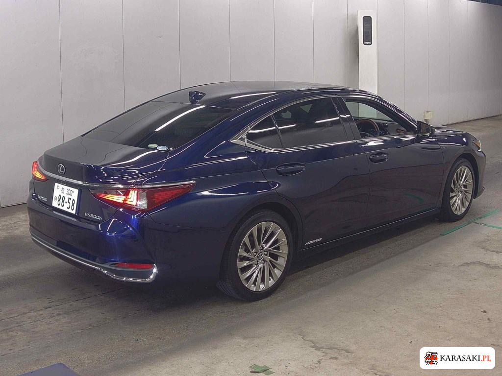 2020 Lexus Es ES300H Version L 4