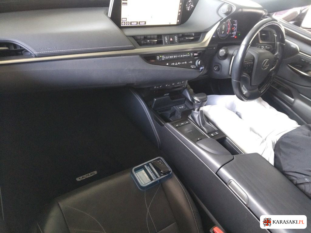2019 Lexus Es ES300H Version L 5