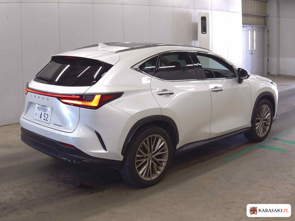 2023 Lexus NX NX350H Version L 4