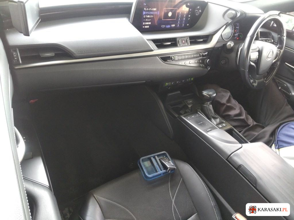 2019 Lexus Es ES300H Version L 5