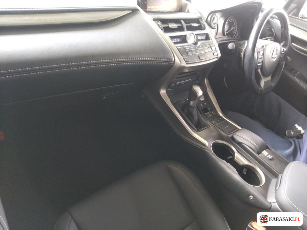 2015 Lexus NX NX300H I Package 5