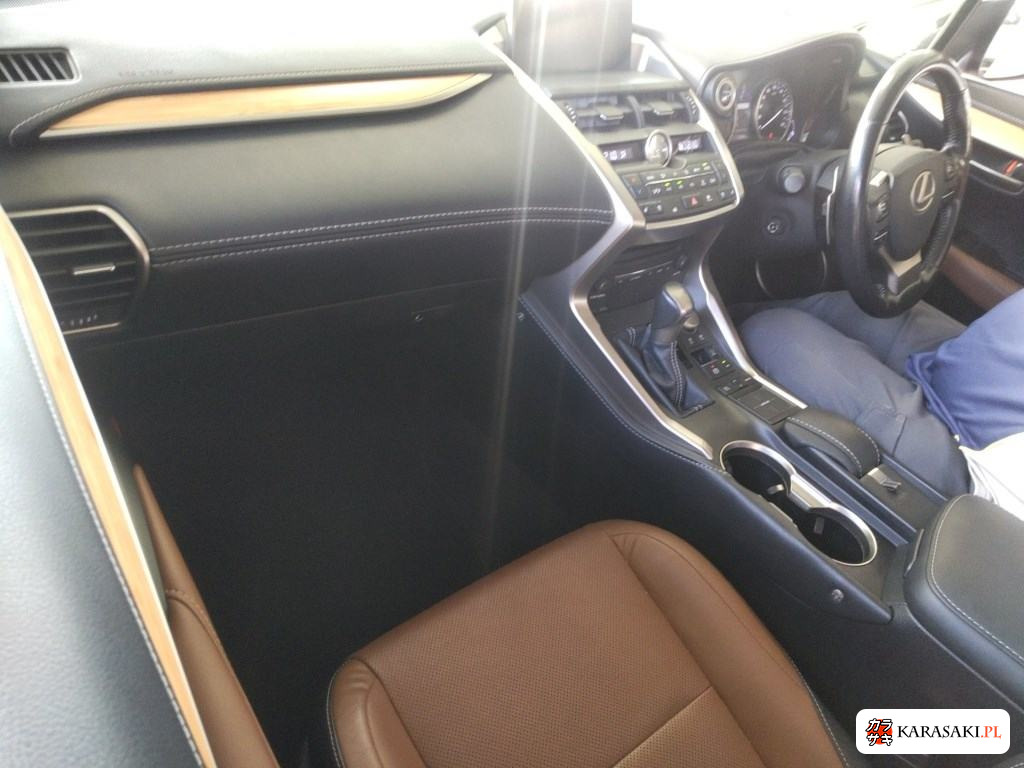 2017 Lexus NX NX300H Version L 5