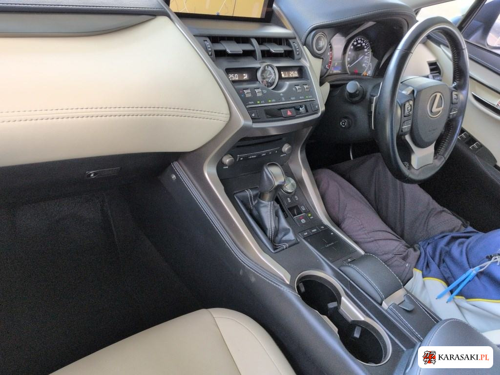 2018 Lexus NX NX300 I Package 5