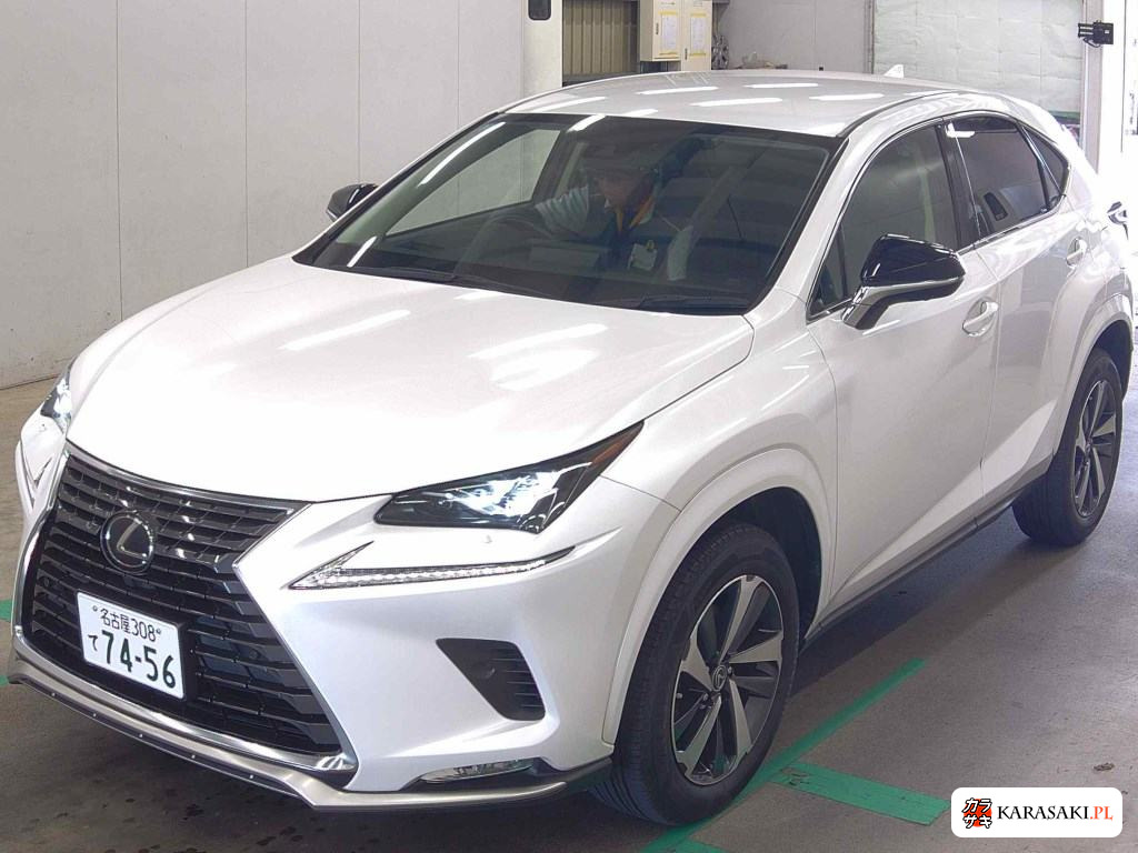 2021 Lexus NX NX300 Special Edition Spice And Chic 3