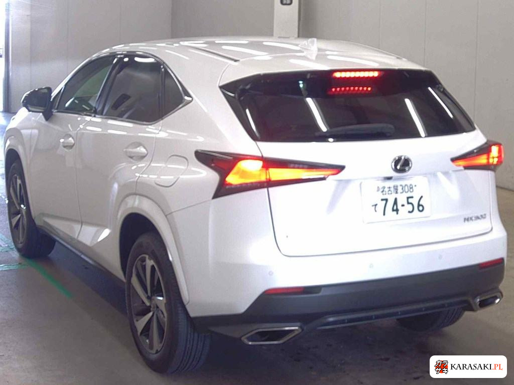 2021 Lexus NX NX300 Special Edition Spice And Chic 2