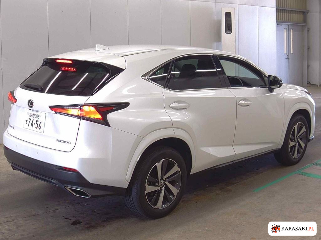 2021 Lexus NX NX300 Special Edition Spice And Chic 4