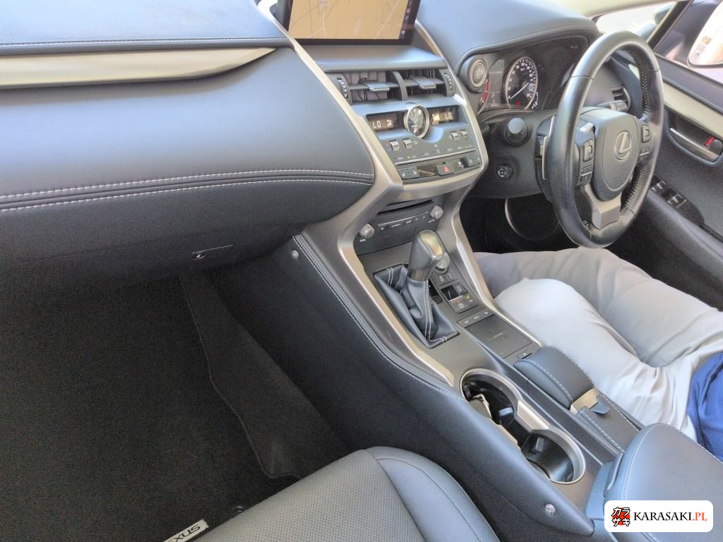 2021 Lexus NX NX300 Special Edition Spice And Chic 5