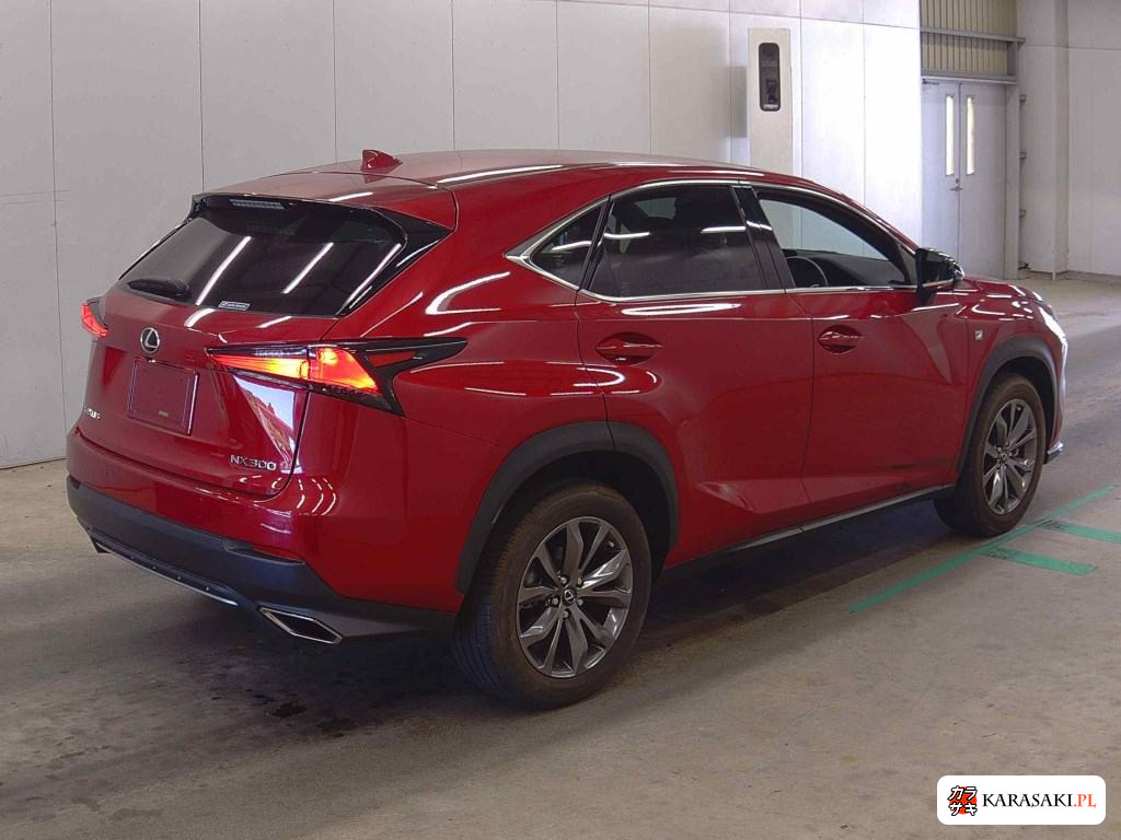 2020 Lexus NX NX300 F Sport 4