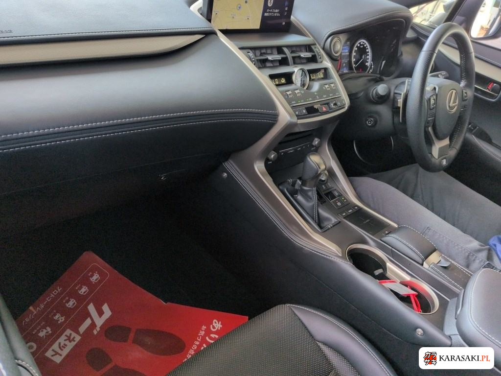 2020 Lexus NX NX300 F Sport 5