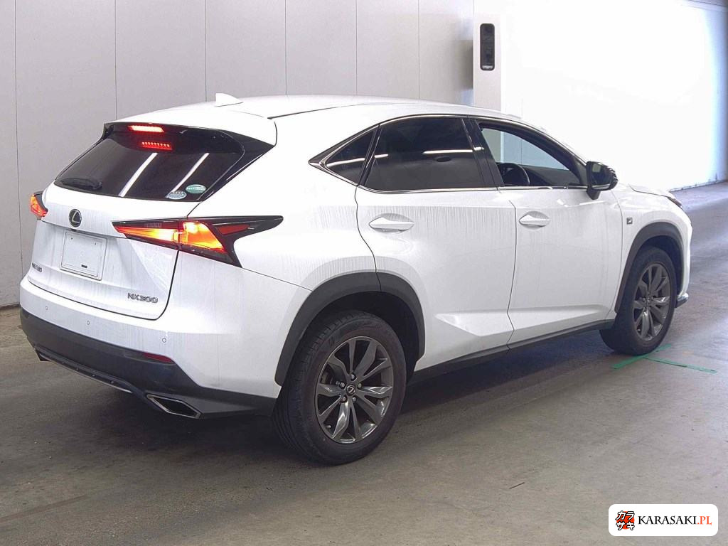 2017 Lexus NX NX300 F Sport 4