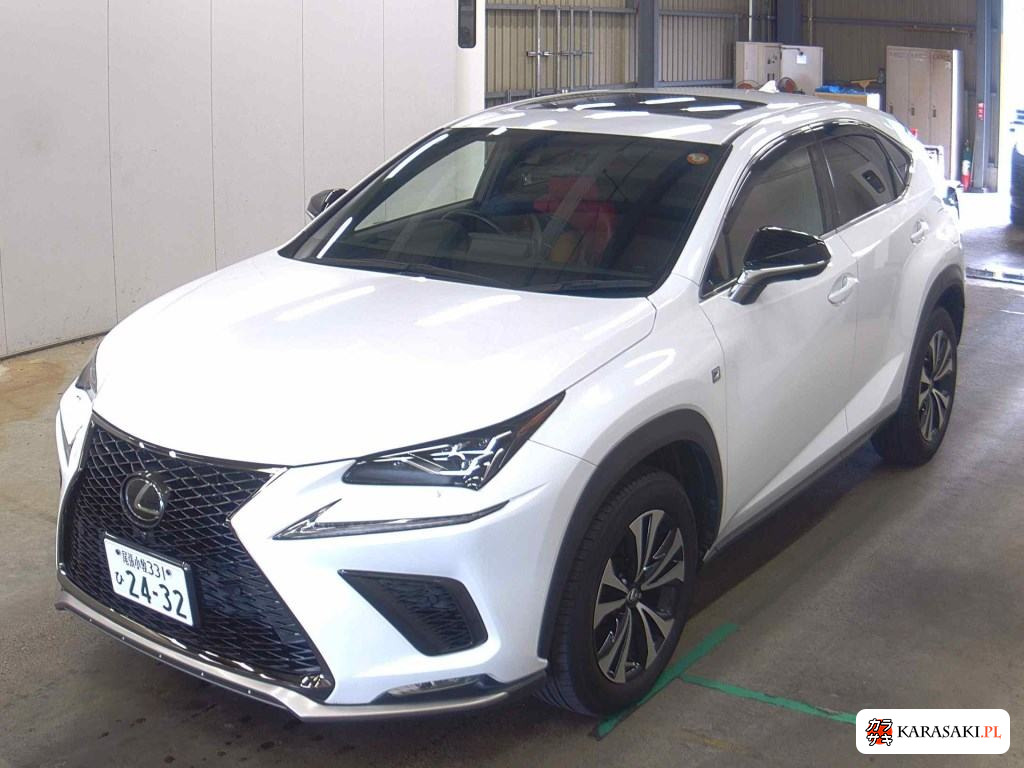 2019 Lexus NX NX300 F Sport 3