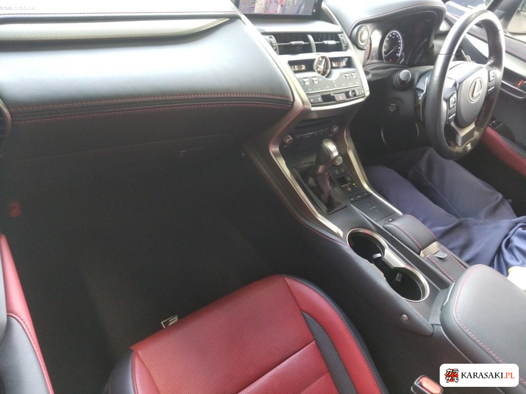 2019 Lexus NX NX300 F Sport 5