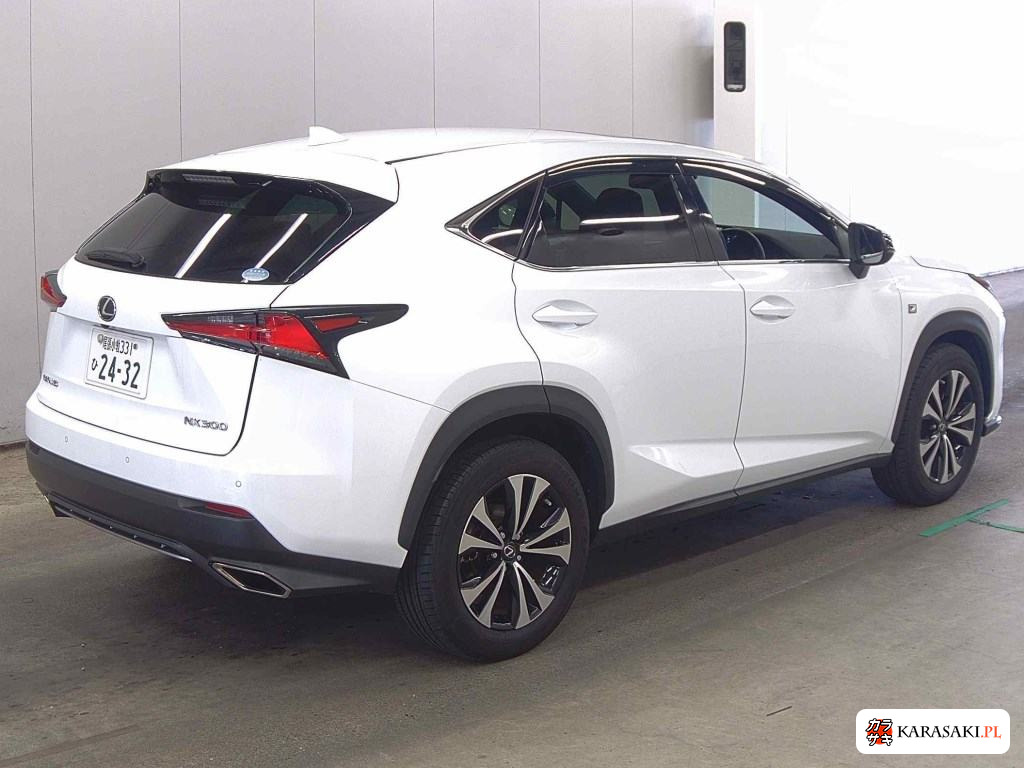 2019 Lexus NX NX300 F Sport 4