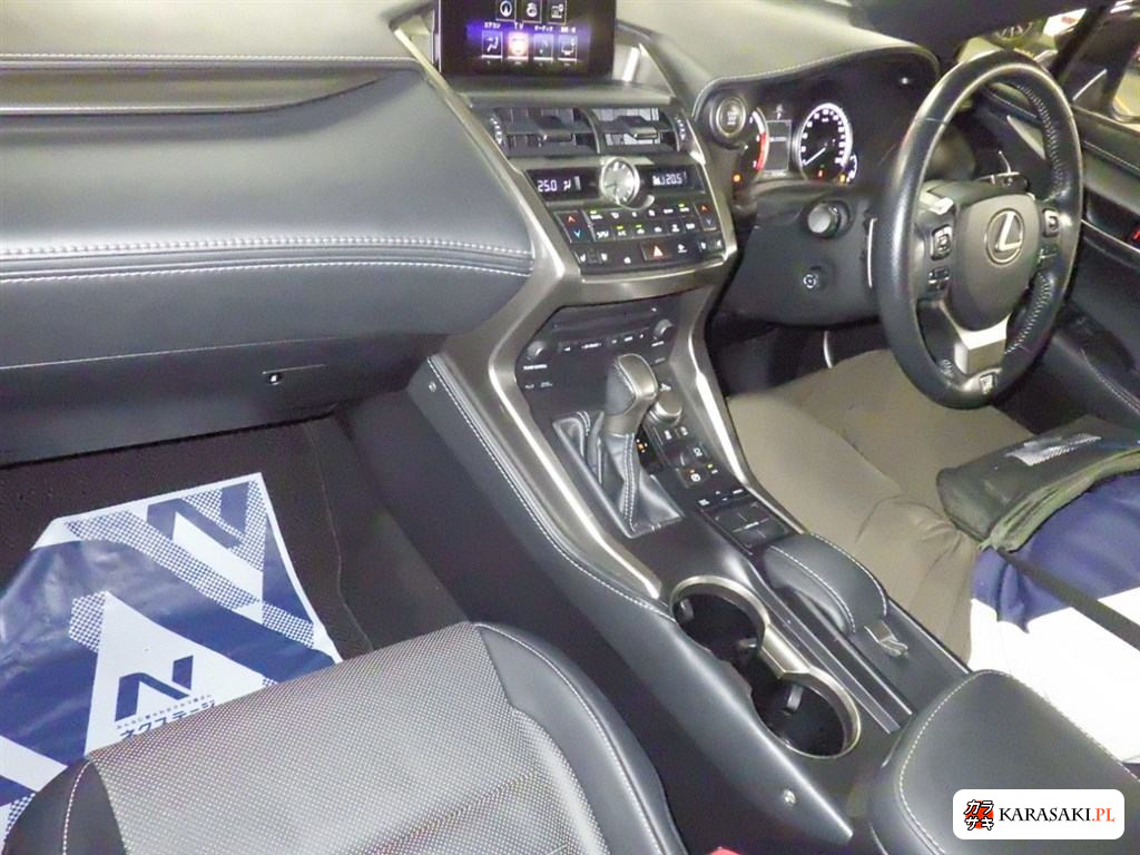2014 Lexus NX NX200T F Sport 5