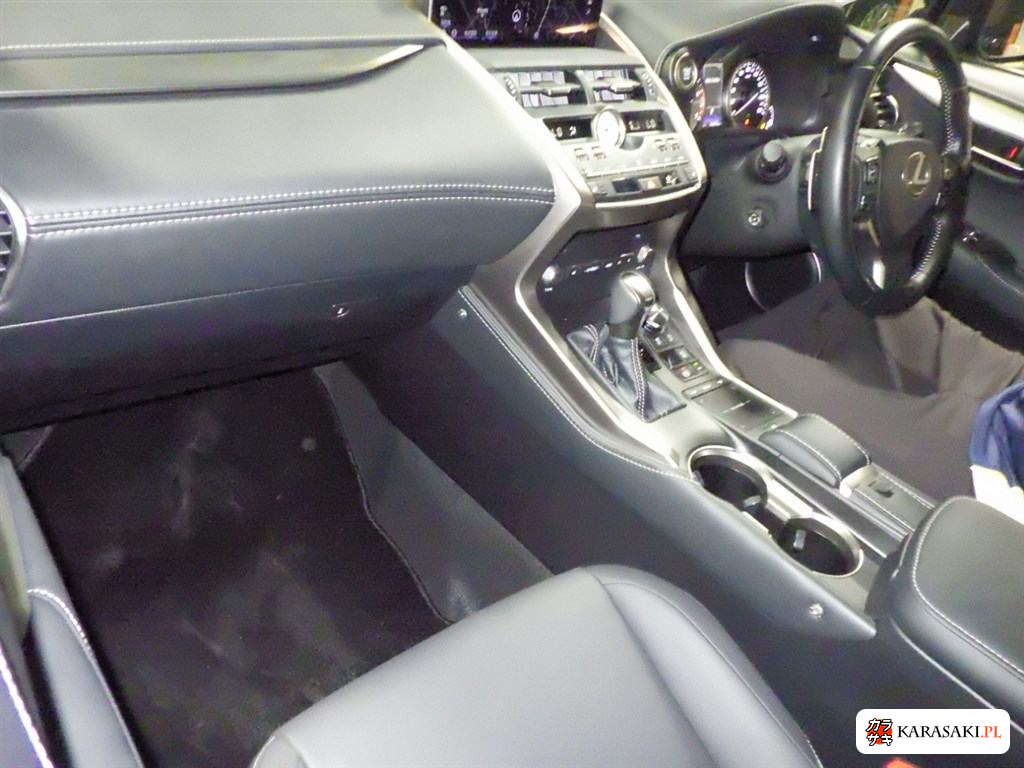 2017 Lexus NX NX300 I Package 5