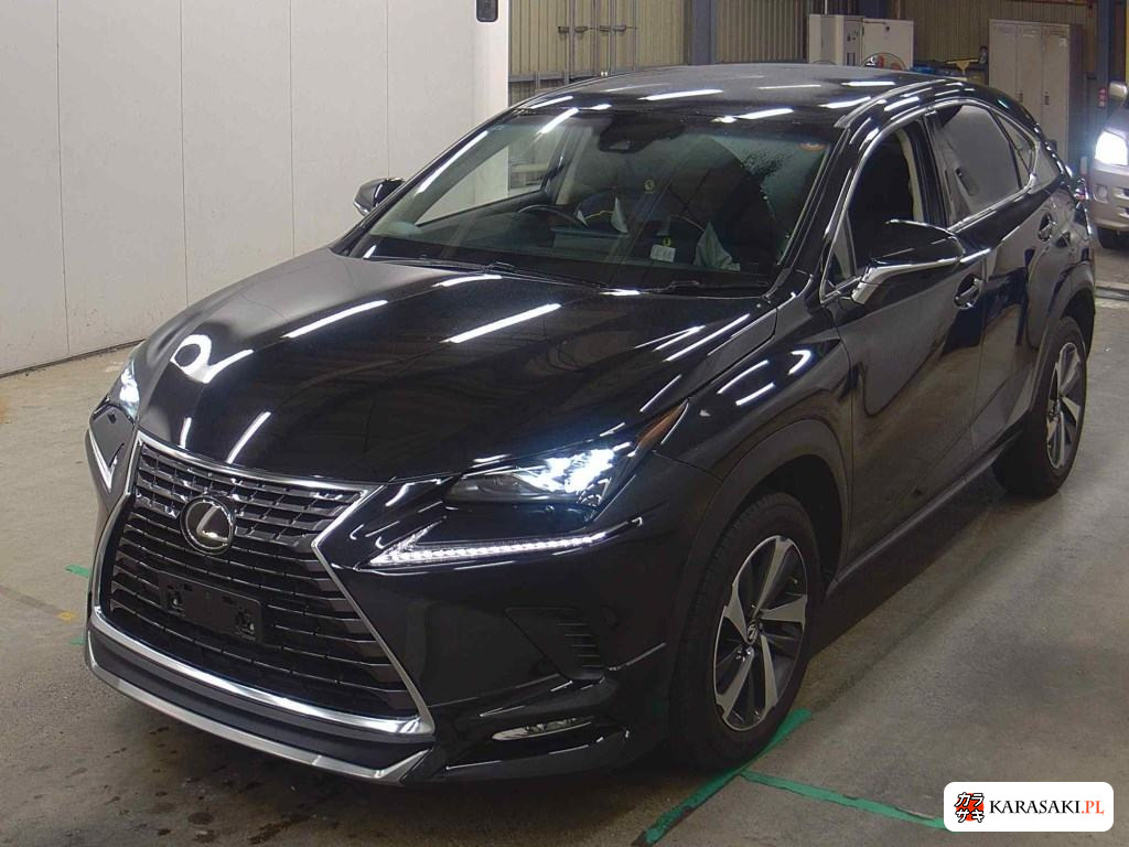 2017 Lexus NX NX300 I Package 3