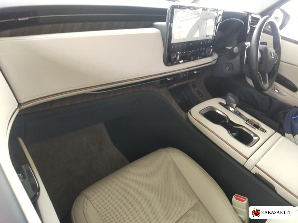 2024 Lexus LM 4WD LM500H Executive 5